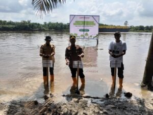 Proses penanaman bibit mangrove di pinggir Sungai Siak oleh Kapolsek Tualang dan Pimpinan PT IKPP.