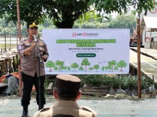Wujudkan Green Policing, Polsek Tualang dan PT IKPP Tanam 5000 Mangrove di Tepian Sungai Siak