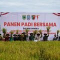 Panen padi Yonif TP 806/SI bersama Forkopimda Kabupaten Sorong