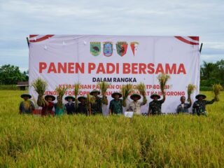 Panen padi Yonif TP 806/SI bersama Forkopimda Kabupaten Sorong