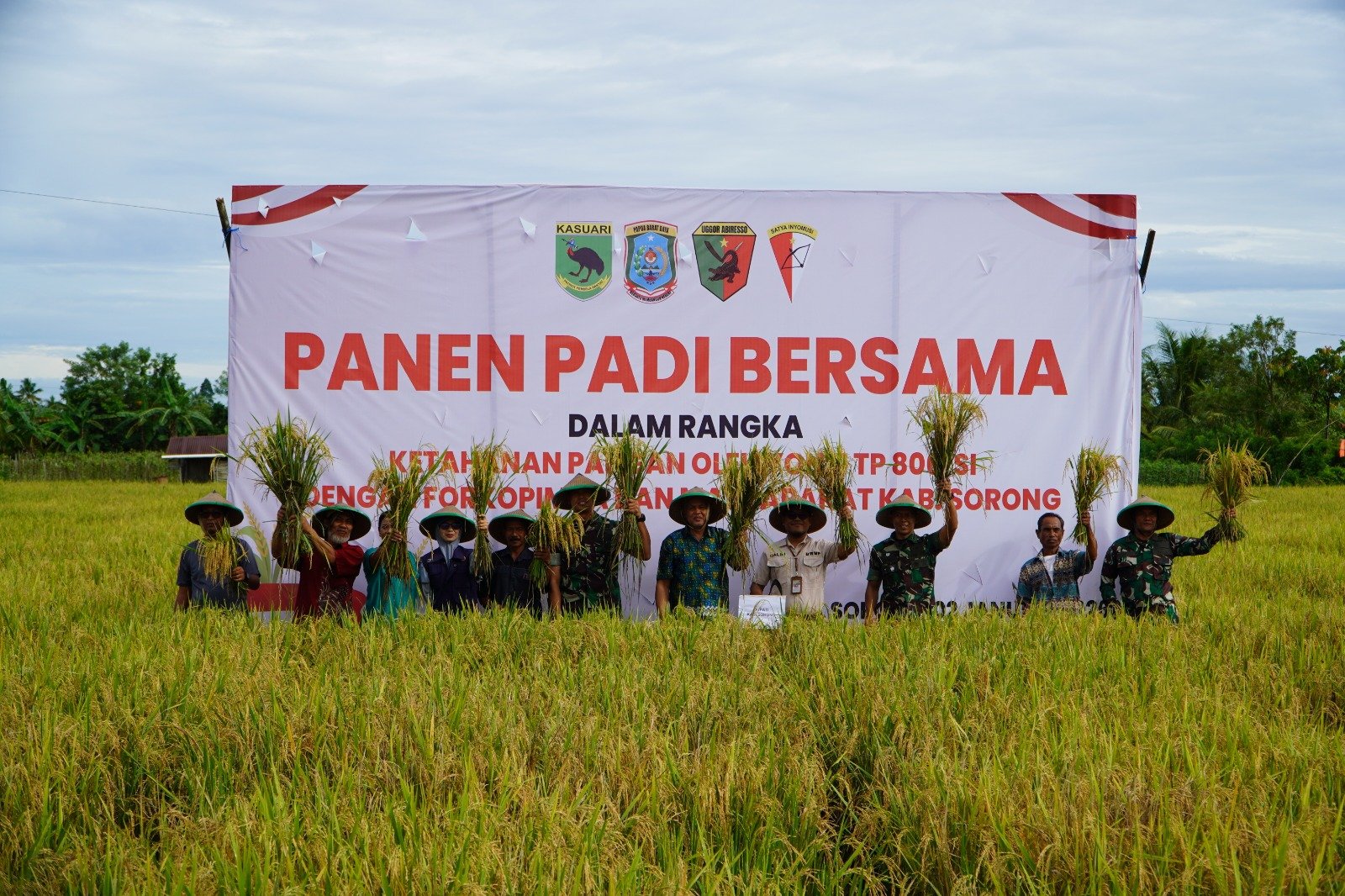 Panen padi Yonif TP 806/SI bersama Forkopimda Kabupaten Sorong