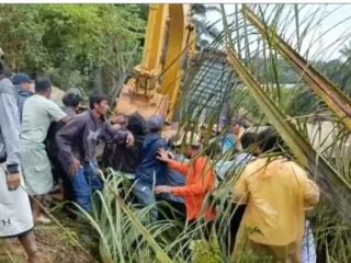 Bentrok Warga di Minas, Aktivitas Penumbangan Sawit Picu Konflik