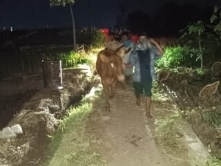 polisi patroli dini hari probolinggo