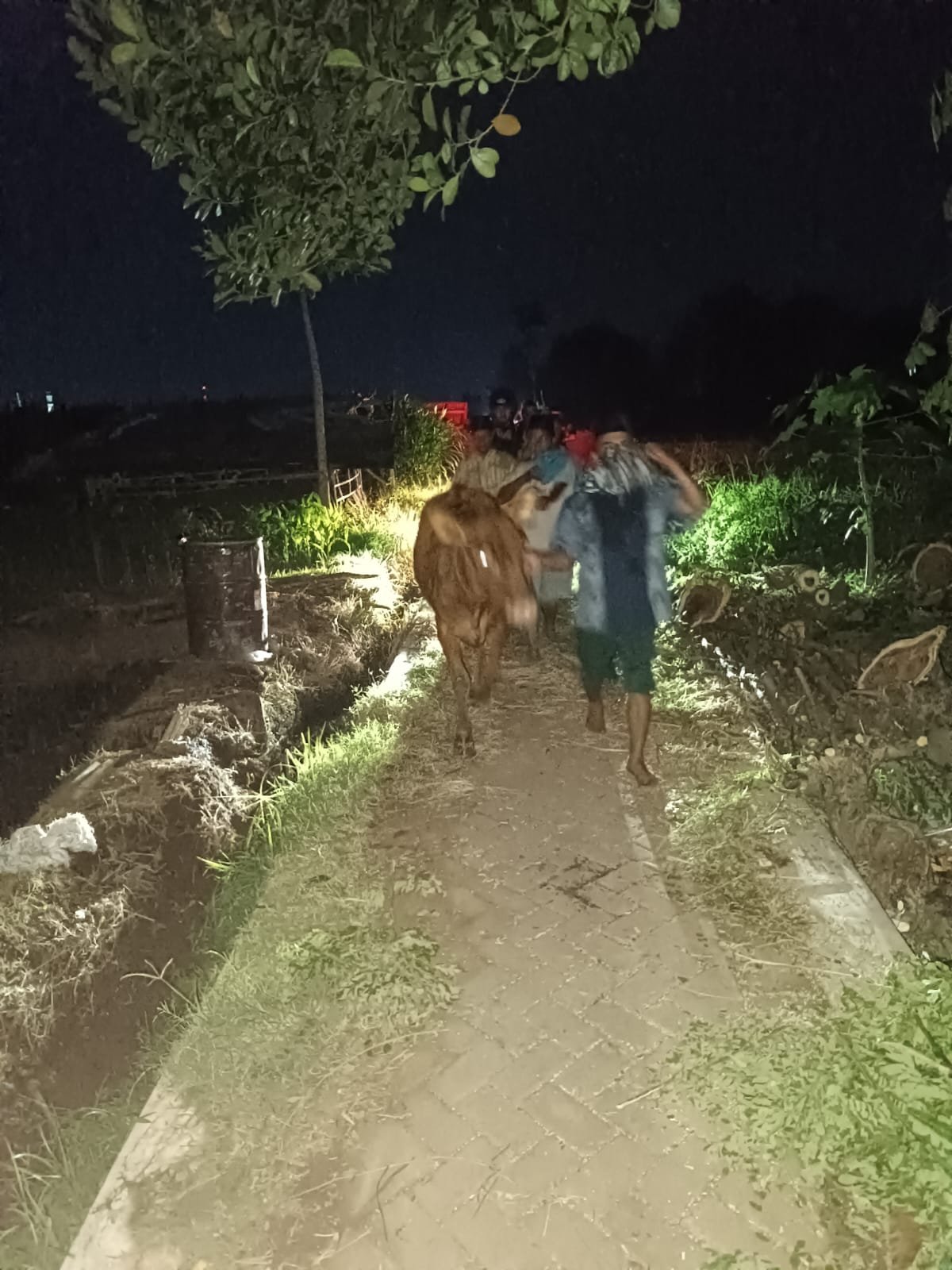 polisi patroli dini hari probolinggo