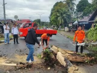 Ibu Hamil Tertimpa Pohon Tumbang Saat Bonceng Dua Anak