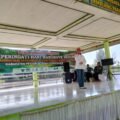 Hari Mangrove Sedunia 2026, Cerint Dorong Pemda Prioritaskan Anggaran Pelestarian Lingkungan