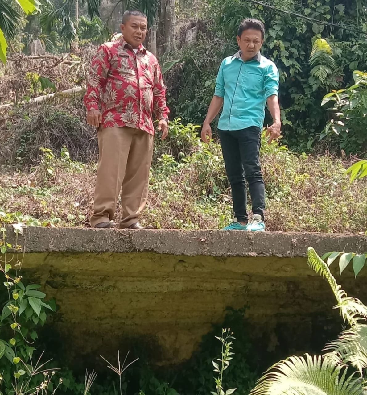 Tinjau langsung jalan koto