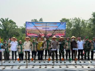 Polda Sumsel bersama Forkopimda dan petani mengikuti penanaman bawang putih serentak di Muara Enim Kapolda Sumsel Irjen Pol. Sandi Nugroho bersama jajaran dan peserta kegiatan penanaman bawang putih serentak di Kabupaten Muara Enim, Sumatera Selatan, Rabu (19/8/2026).