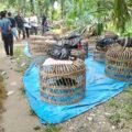 Menakar Ketegasan Polrestabes Medan: Dugaan Judi Dadu & Sabung Ayam 'Edy alias Sembiring' dan Alih Fungsi Lahan Eks-Perkebunan Menanti Penindakan