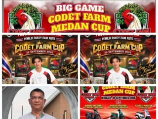 Codet dan Aan Gelar Perjudian Laga Ayam di Kota Binjai, Polisi Diduga Tutup Mata
