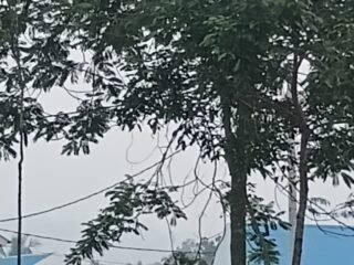 Kabut Asap Kembali Selimuti Kota Padang, Warga Diimbau Waspada